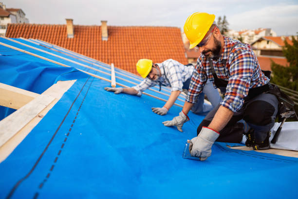 Roof Gutter Cleaning in Westfield, IN